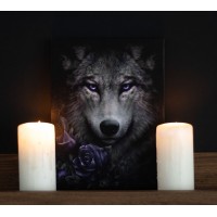 Canvas Picture Wolf Roses