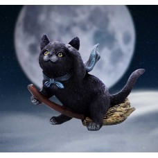 Cat Familiar Flight