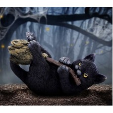 Cat Magical Mischief 