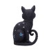 Cat Nine Lives