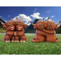 Cow Highland Hug 