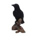 Ravens Perch