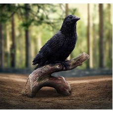 Ravens Perch