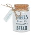 Glass Shells Bottle * On Sale *