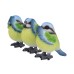Three Wise Blue Tits