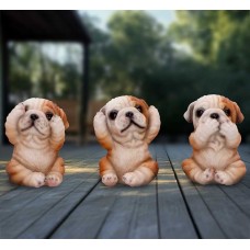 Three Wise Bulldogs