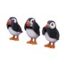 Three Wise Puffins