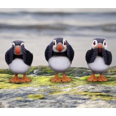Three Wise Puffins