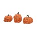 Three Wise Pumpkins