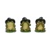 Three Wise Toads